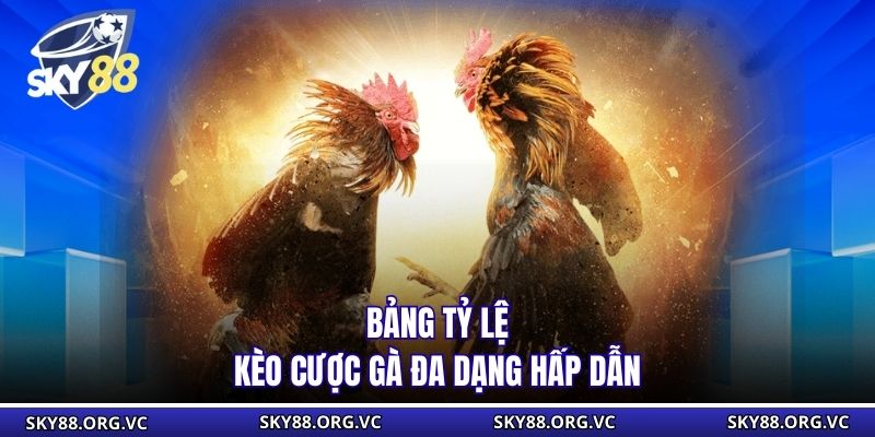 Bảng tỷ lệ kèo cược gà đa dạng hấp dẫn