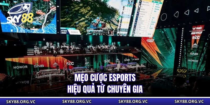 Mẹo cược esports hiệu quả từ chuyên gia