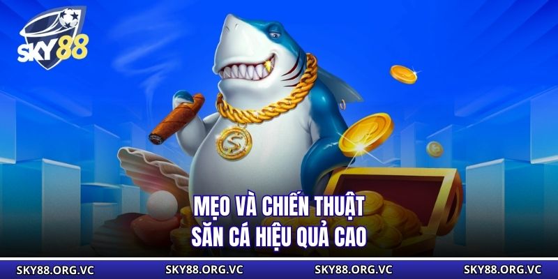 Mẹo và chiến thuật săn cá hiệu quả cao