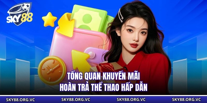 Tổng quan khuyến mãi hoàn trả thể thao hấp dẫn